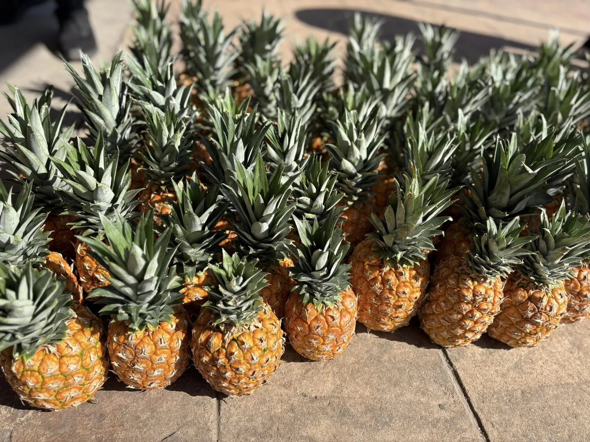 Frutas frescas