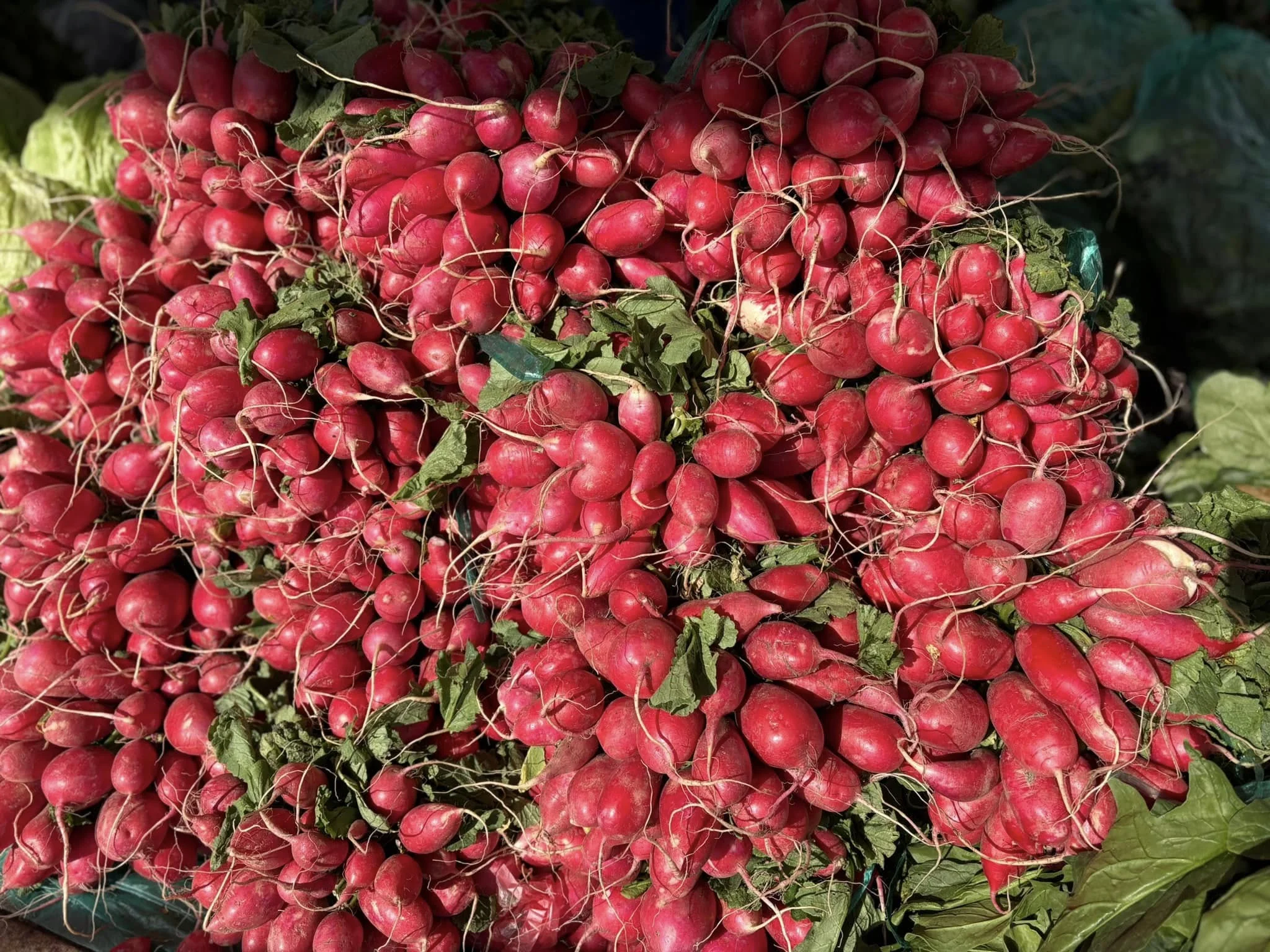 Verduras de huerto